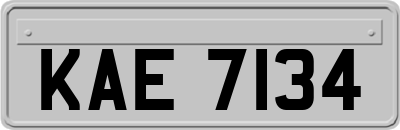KAE7134