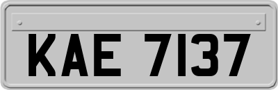 KAE7137