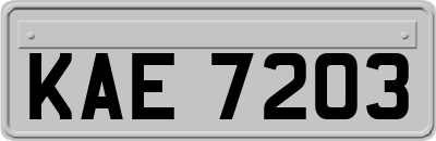 KAE7203