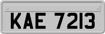 KAE7213