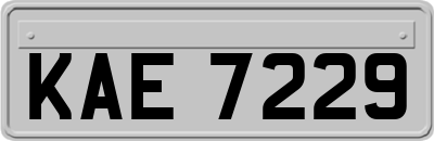 KAE7229
