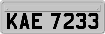 KAE7233