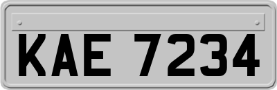 KAE7234