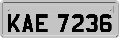 KAE7236