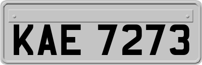 KAE7273