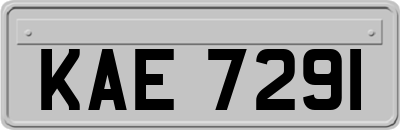 KAE7291