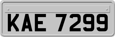 KAE7299