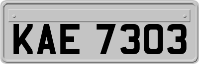 KAE7303