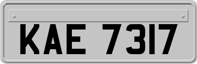 KAE7317