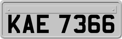 KAE7366