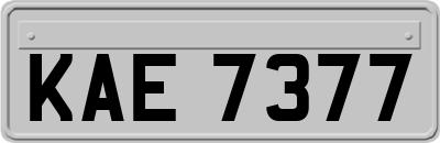 KAE7377