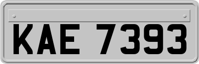 KAE7393