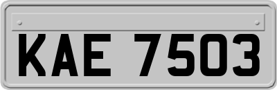KAE7503