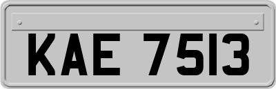 KAE7513