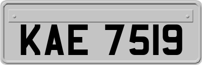 KAE7519