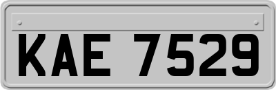 KAE7529