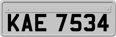 KAE7534