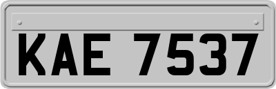 KAE7537