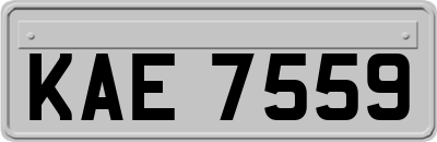 KAE7559