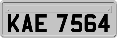KAE7564