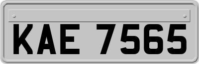 KAE7565