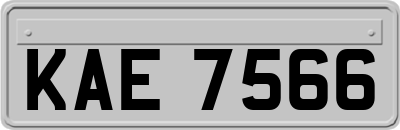 KAE7566