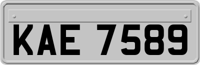 KAE7589