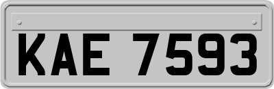 KAE7593