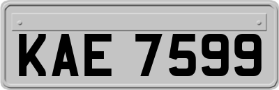 KAE7599