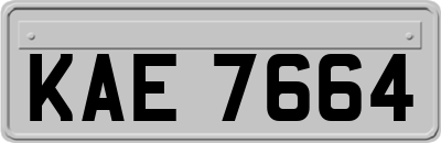 KAE7664