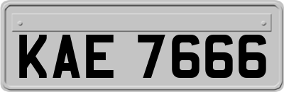 KAE7666