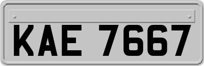 KAE7667