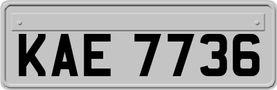 KAE7736