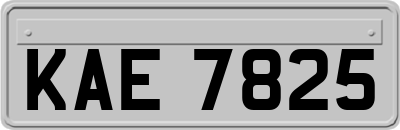 KAE7825