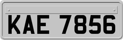 KAE7856