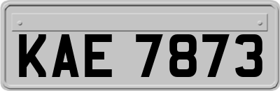 KAE7873