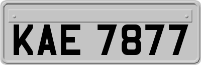 KAE7877