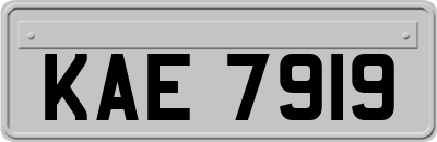 KAE7919