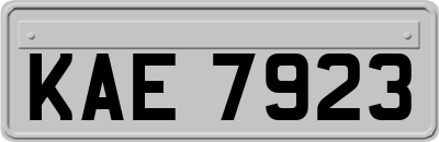 KAE7923