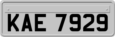 KAE7929