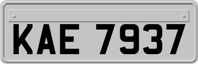 KAE7937