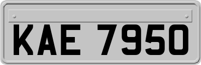 KAE7950