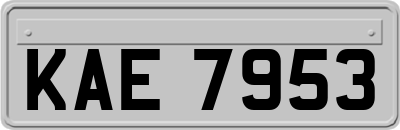 KAE7953