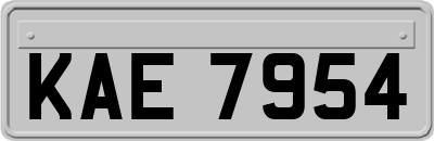 KAE7954