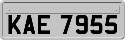 KAE7955