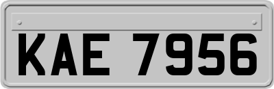 KAE7956