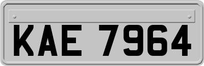 KAE7964