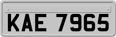 KAE7965