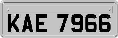 KAE7966