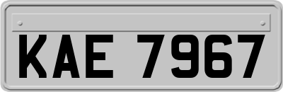 KAE7967